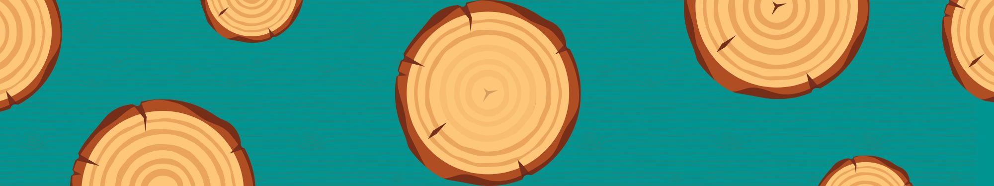 Woodwork, Wellbeing and Leadership