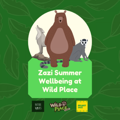 Zazi Summer Wellbeing at Wild Place