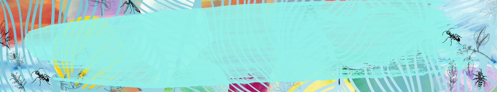 The Ardagh Youth Nature Project