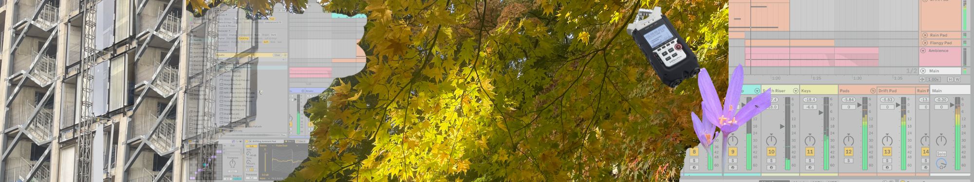 Open Space – Field Recording & Sound Culture Programme